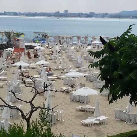 Aqua Dreams - New Wifi *