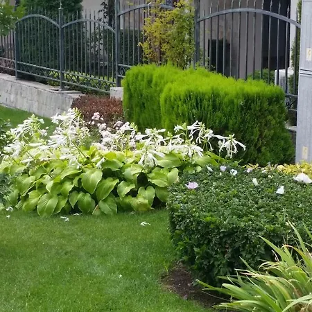 Aqua Dreams - New Wifi * Sveti Vlas