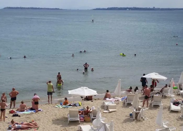 Aqua Dreams - New Wifi