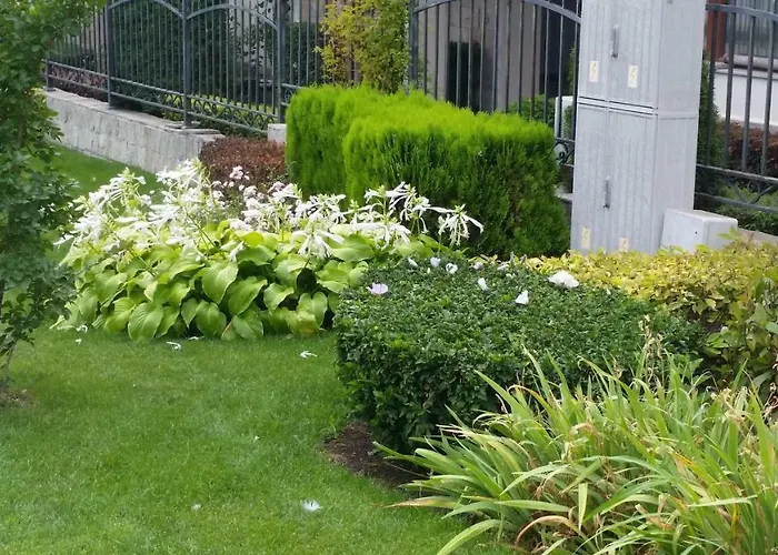 Aqua Dreams - New Wifi Apartament Sveti Vlas