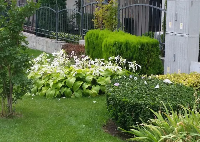 Aqua Dreams - New Wifi * Sveti Vlas